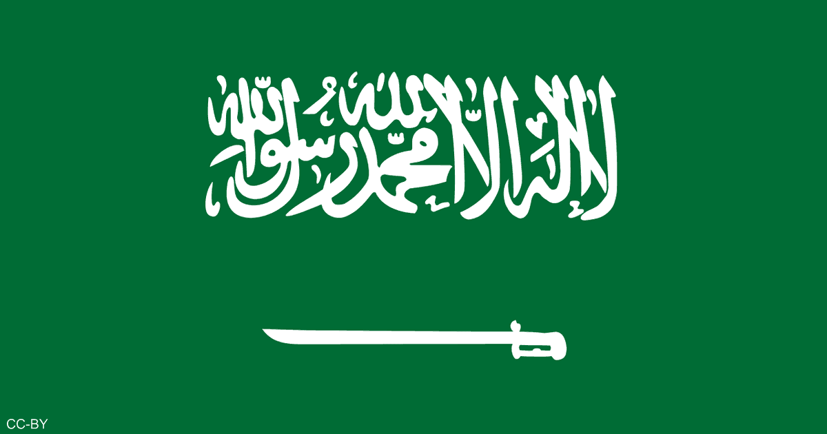 السعودية تفاصيل قرار استحصال رسوم المرافقين أخبار سكاي نيوز عربية