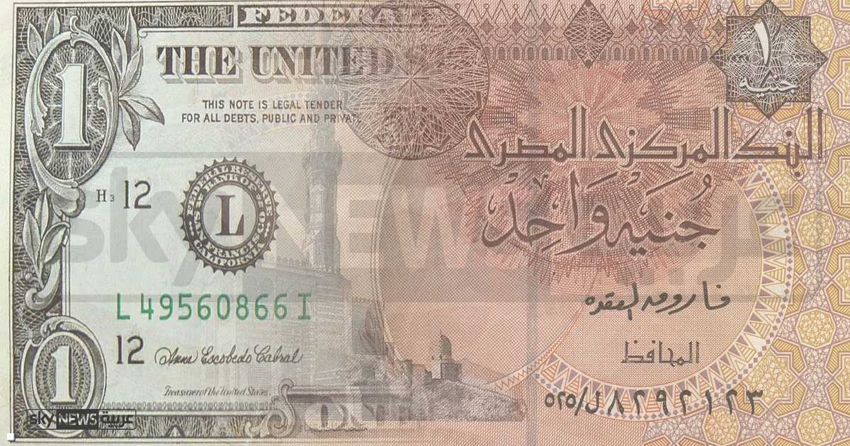 مصر.. ارتفاع مفاجئ للدولار مقابل الجنيه   أخبار سكاي نيوز عربية