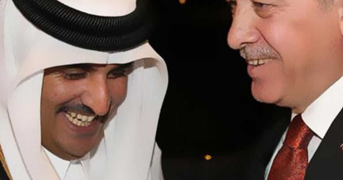 أمير قطر يسبح في  نبع أردوغان    أخبار سكاي نيوز عربية