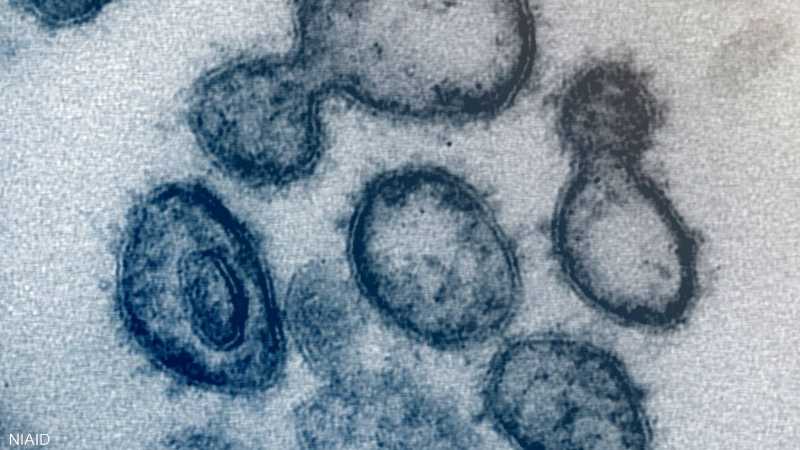 ماربوج فيروس فيروس كيف