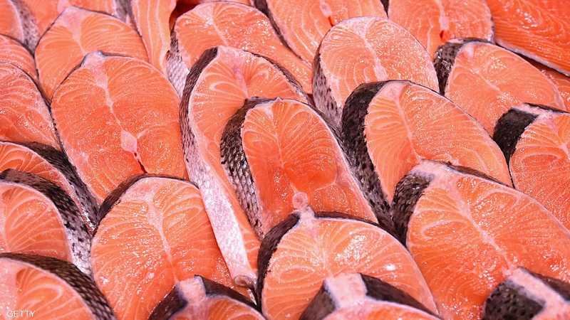 سمك السلمون - أرشيفية