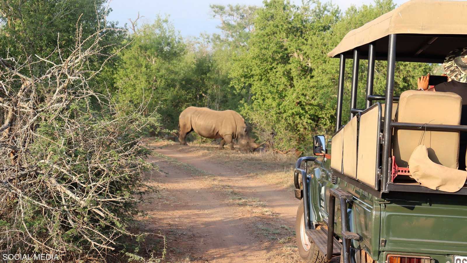 سوازيلاند موطن وحيد القرن