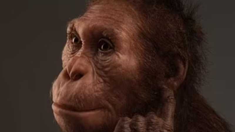 إنسان عاش قبل مليوني عام.. "حلقة مفقودة" تكشف معلومة مهمة 1-1481640