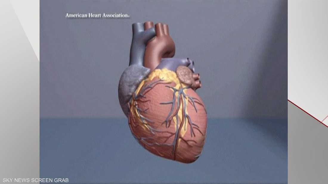 دراسة: القلب قادر على ترميم نفسه عقب الإصابة بالجلطات