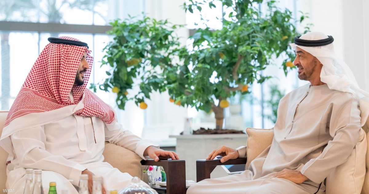 The President of the United Arab Emirates receives the Saudi Deputy Defense Minister