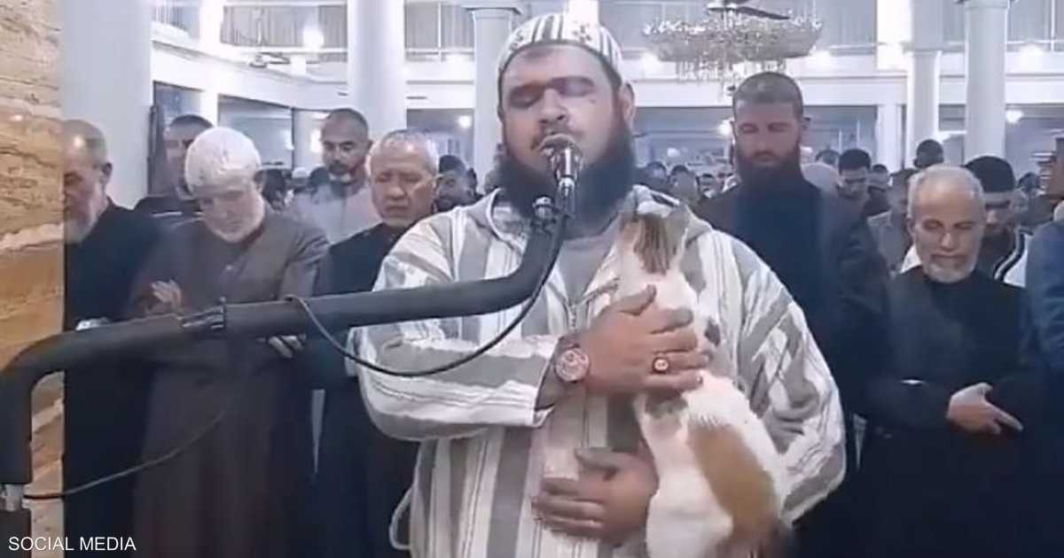 فيديو لـ "قطة" على كتف الإمام في صلاة التراويح يثير الإعجاب | سكاي نيوز  عربية