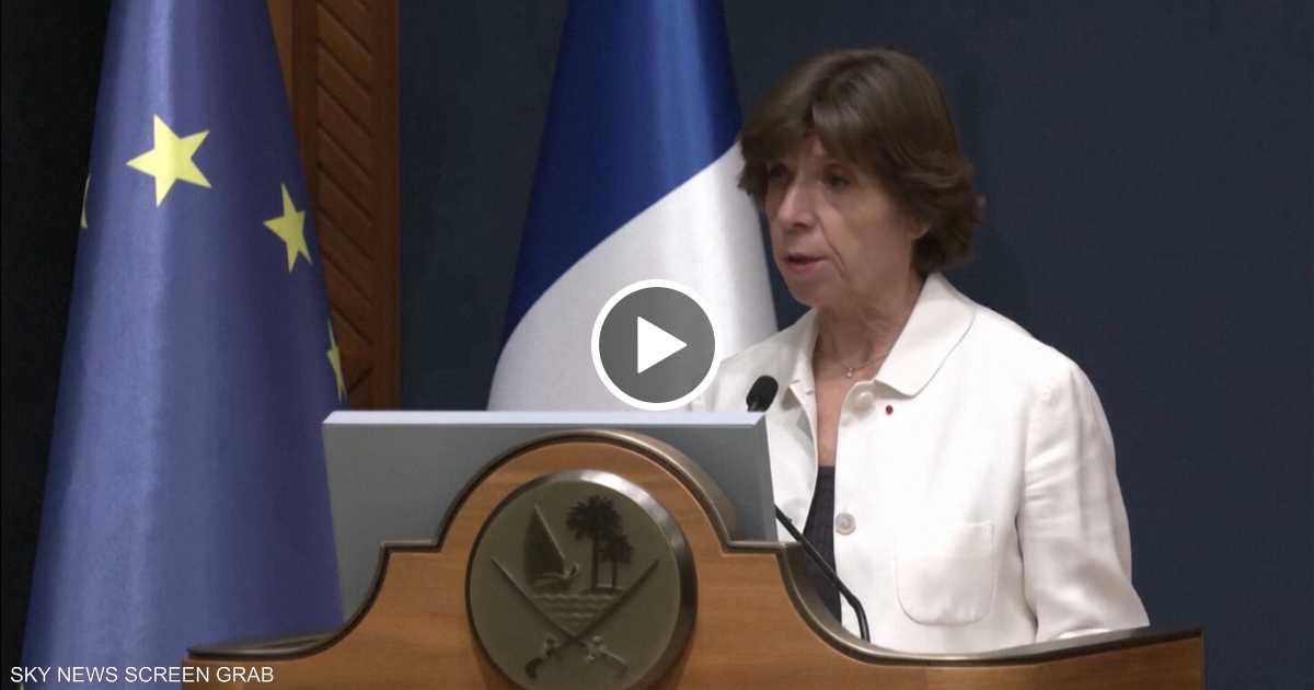 فرنسا تدعو إلى هدنة إنسانية فورية في الحرب بين إسرائيل وحماس