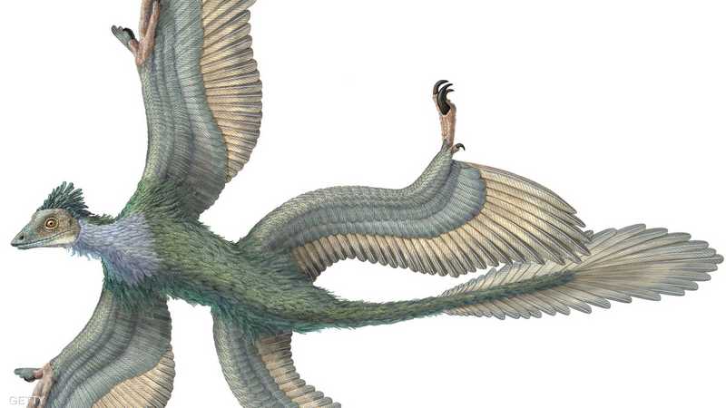 ديناصور "قوس فزح" عاش في الصين قبل ملايين السنين