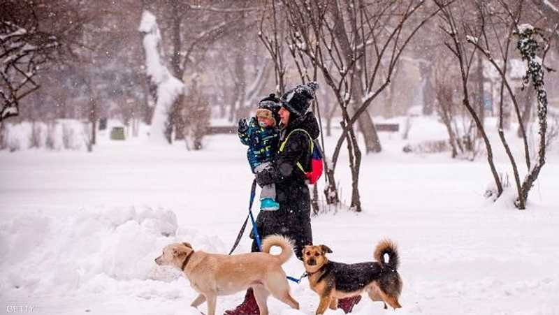 امرأة تسير رفقة كلبيها وطفلها وسط الثلوج في بلغاريا.