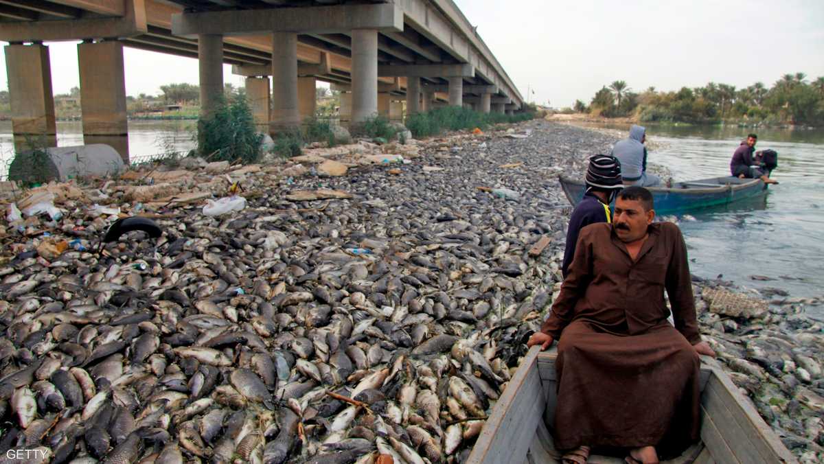 نفوق أطنان من الأسماك في نهر الفرات الذي يعاني من شح المياه