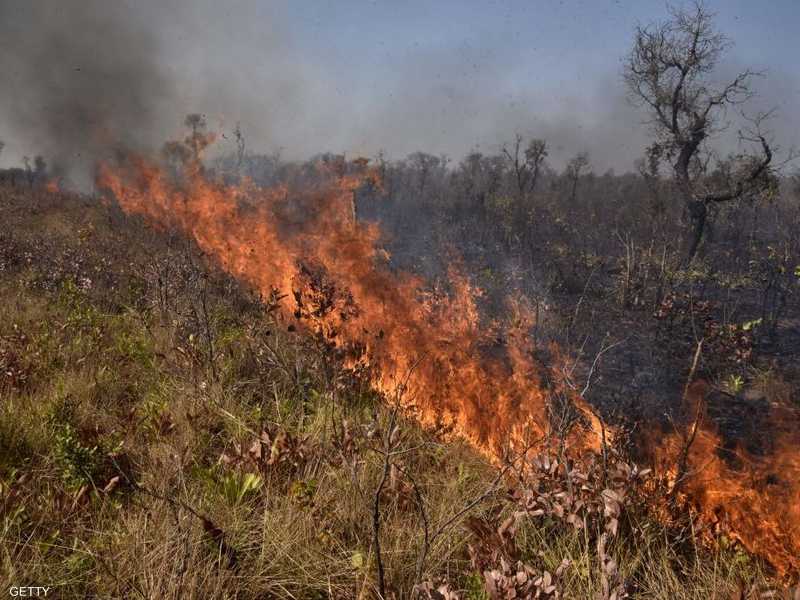الأمطار تنقذ الغابات في بوليفيا من الحرائق أخبار سكاي نيوز عربية