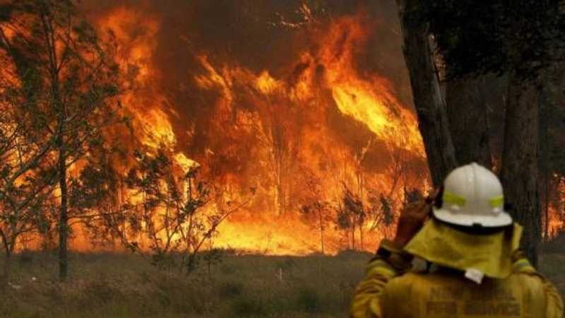 أستراليا ارتفاع حصيلة قتلى حرائق الغابات أخبار سكاي نيوز عربية