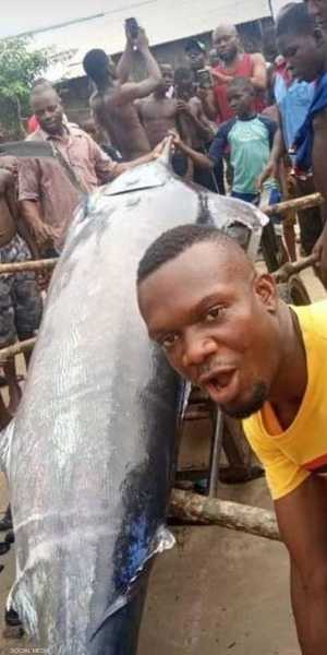 الصياد النيجيري مع السمكة العملاقة